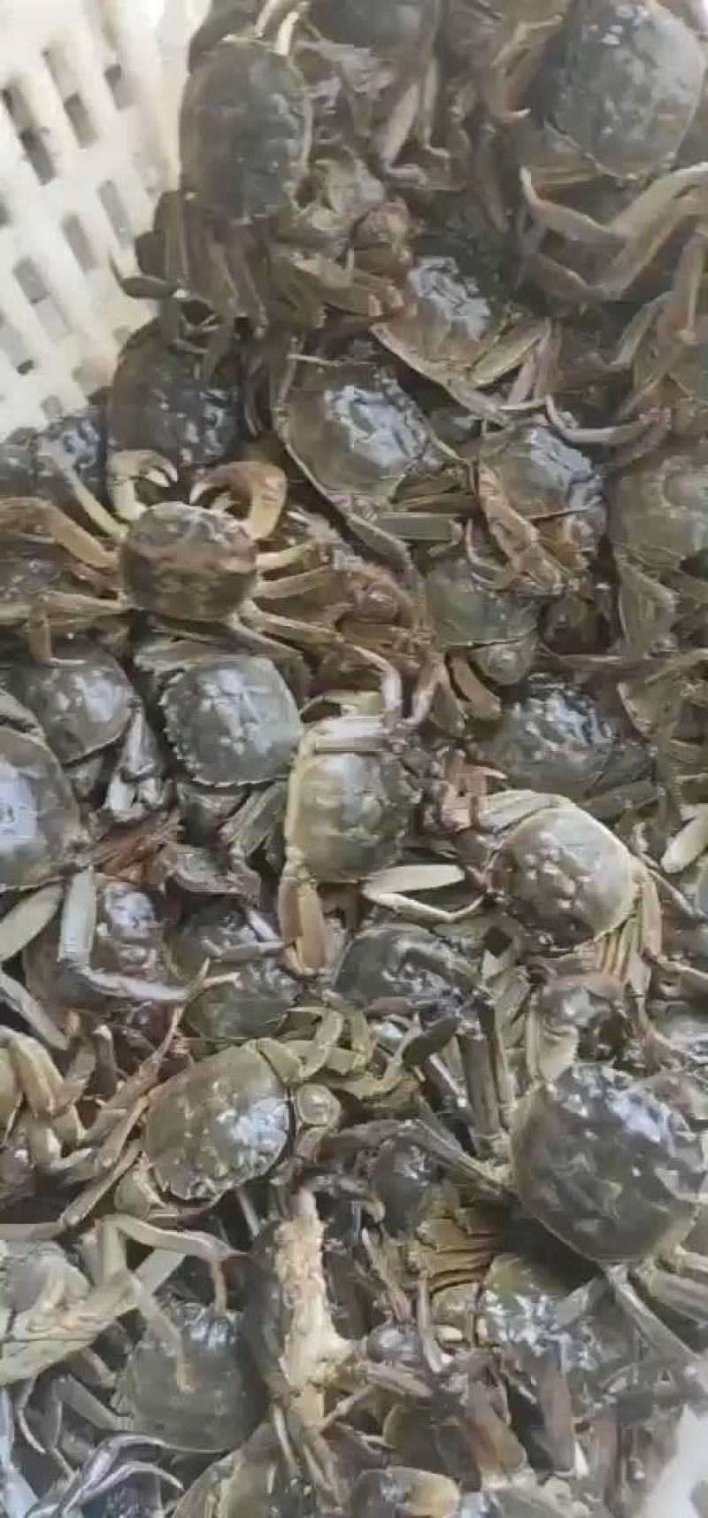 拥抱商业变革，博涵商贸见证成长的力量